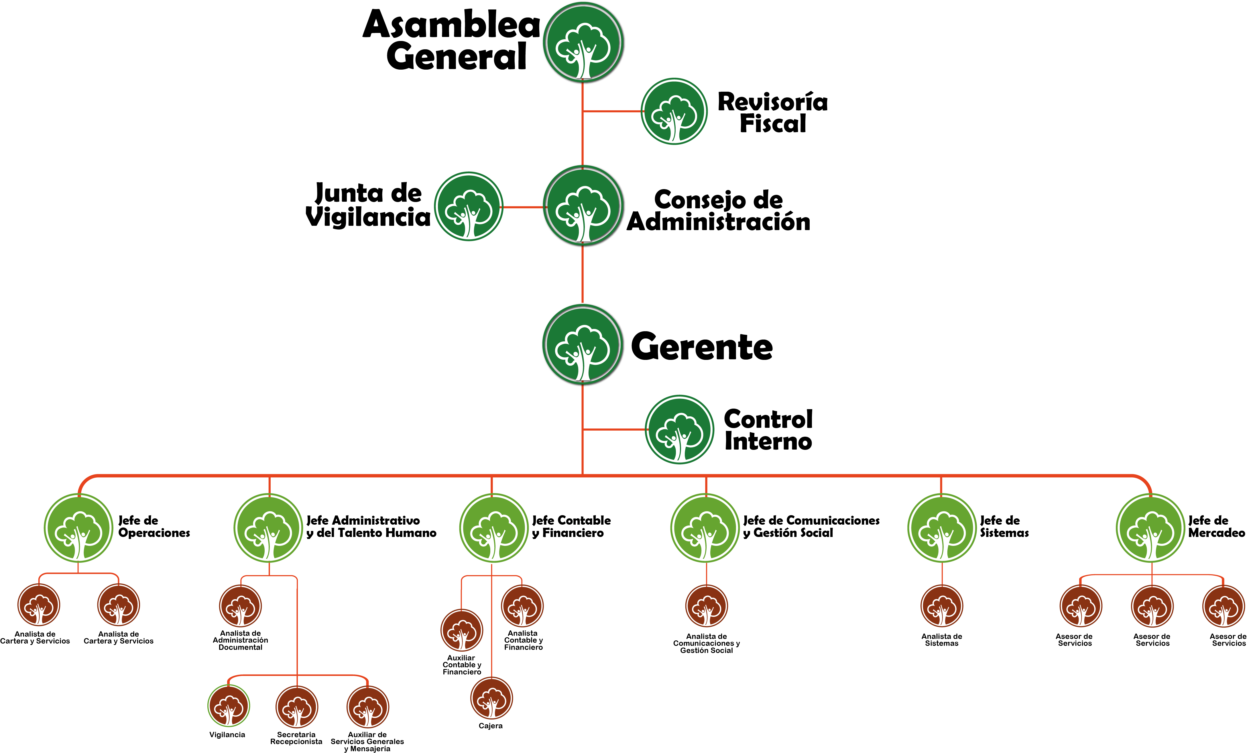Organigrama