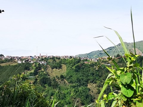 img_20190811_085856-1.jpg