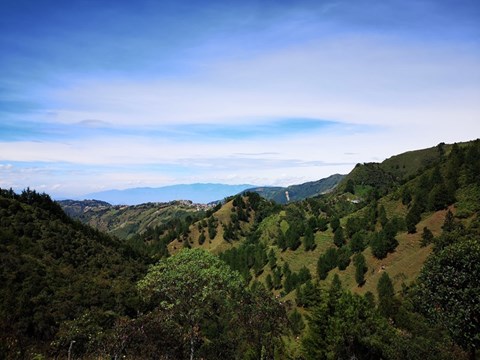 img_20190811_100847.jpg