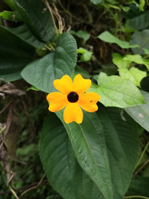img_20190623_092245.jpg