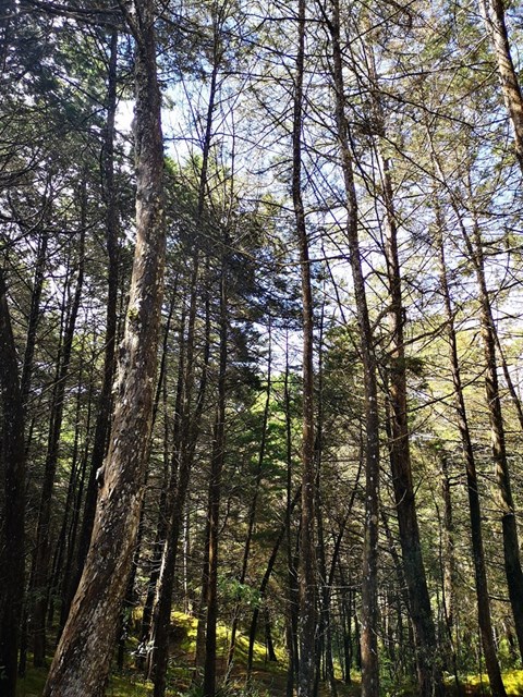 img_20190714_095519.jpg