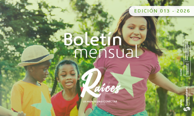 Ya está disponible la edición 13 del Boletín Raíces
