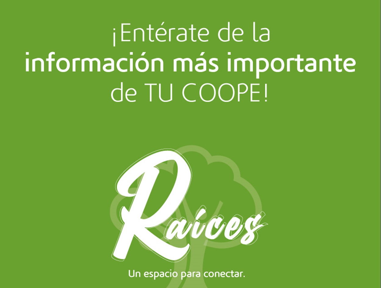 Boletín Raíces