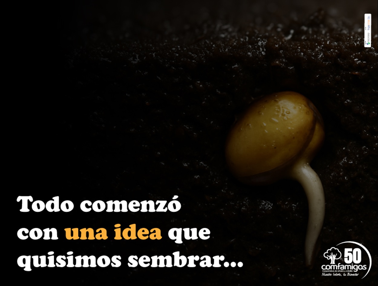 Semilla
